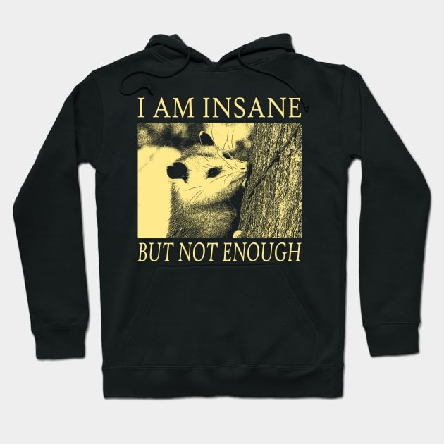 I am Insane Opossum Hoodie by giovanniiiii